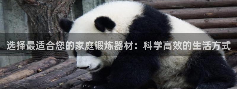 球速体育QsTY官方正版app代理:选择最适合您的家庭锻炼器